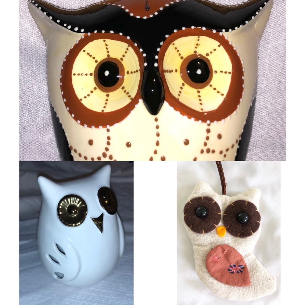 Decorative owl bundle
